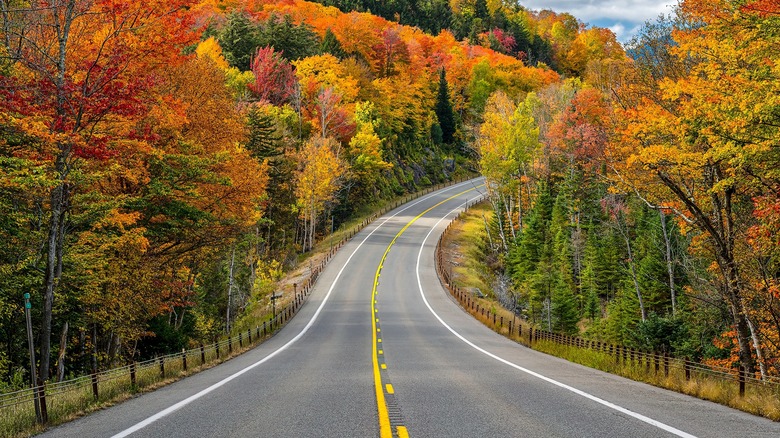 Fall highway