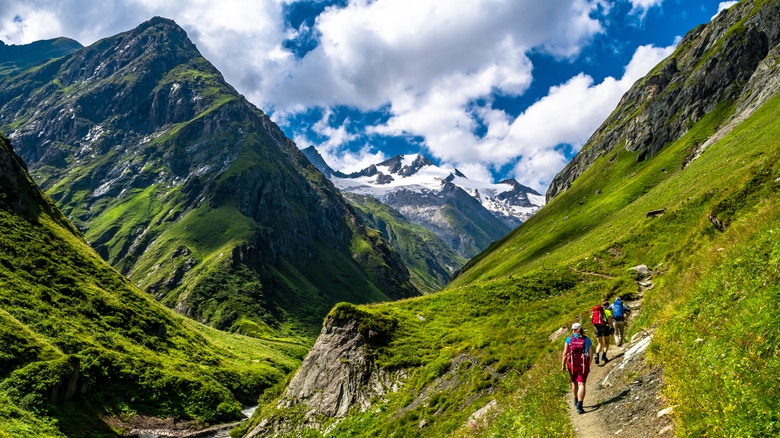 a group hiking in the Valley Of Umbalfaelle On Grossvenediger With View To Mountain Roetspitze in Nationalpark Hohe Tauern in Austria