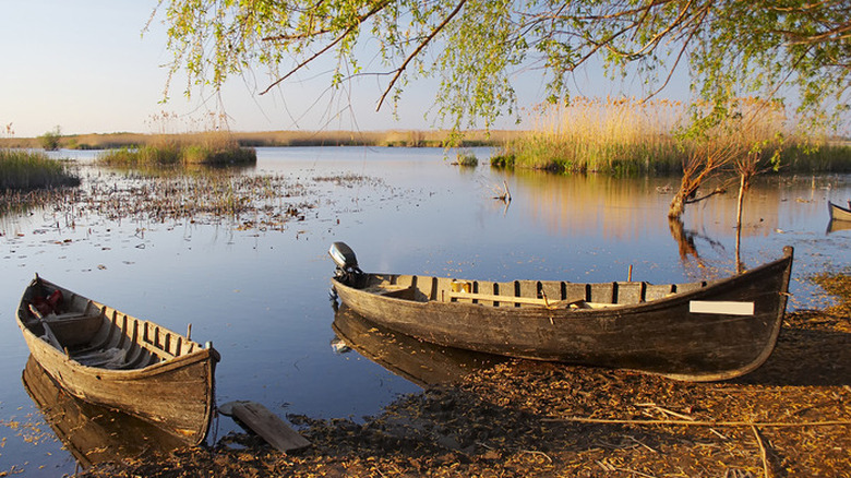 Danube Delta, Romania