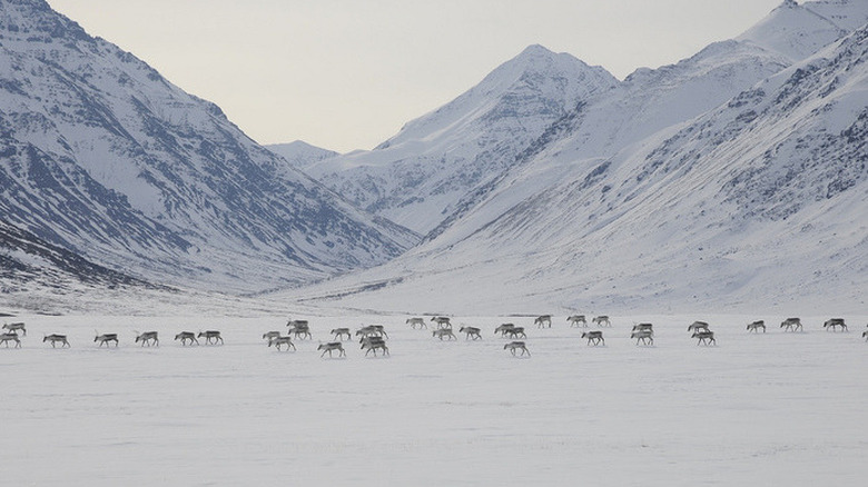 Gates of the Arctic, Alaska