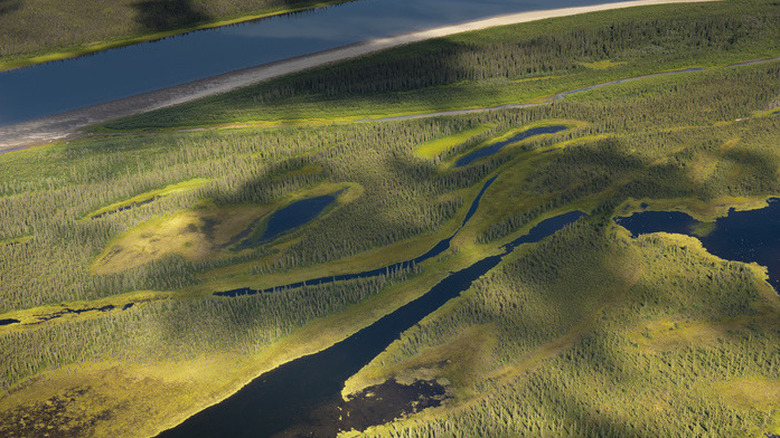 Kobuk Valley, Alaska