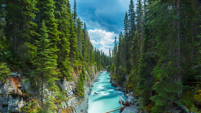 Kootenay, British Columbia, Canada