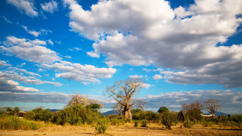 Liwonde, Malawi