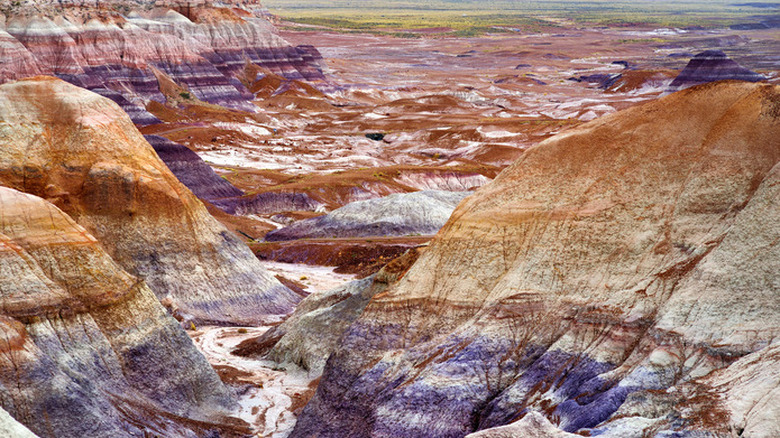 Petrified Forest, Arizona