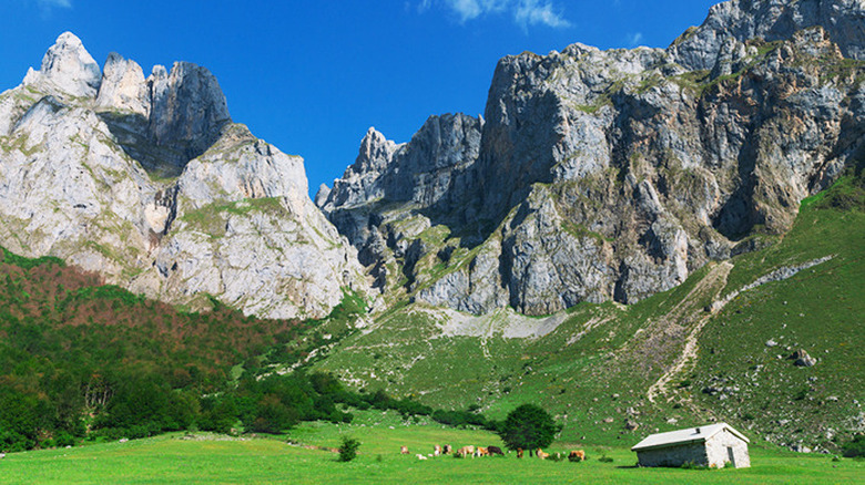 Picos de Europa, Spain