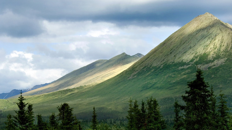 Wrangell-St. Elias, Alaska