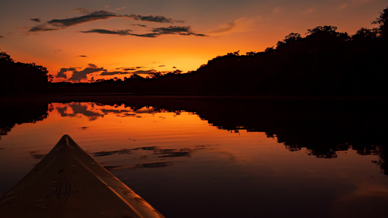 Night view from boat of Amazon jungle over the Christina lagoon during the sunset time.