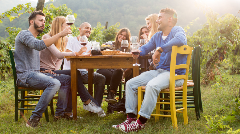 friends eating in vineyard