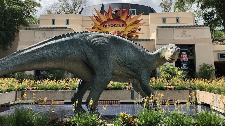 Dinosaur Ride Disney Animal Kingdom