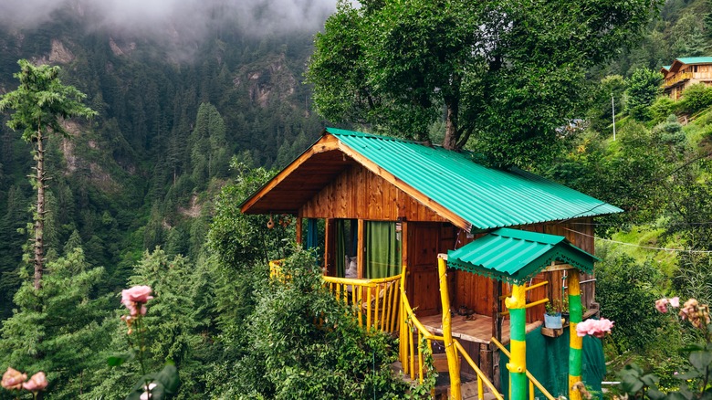 Treehouse in misty forrest