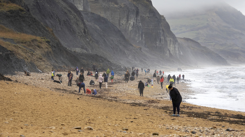 Fossil hunters on the world famous fossil beach of Charmouth in Devon