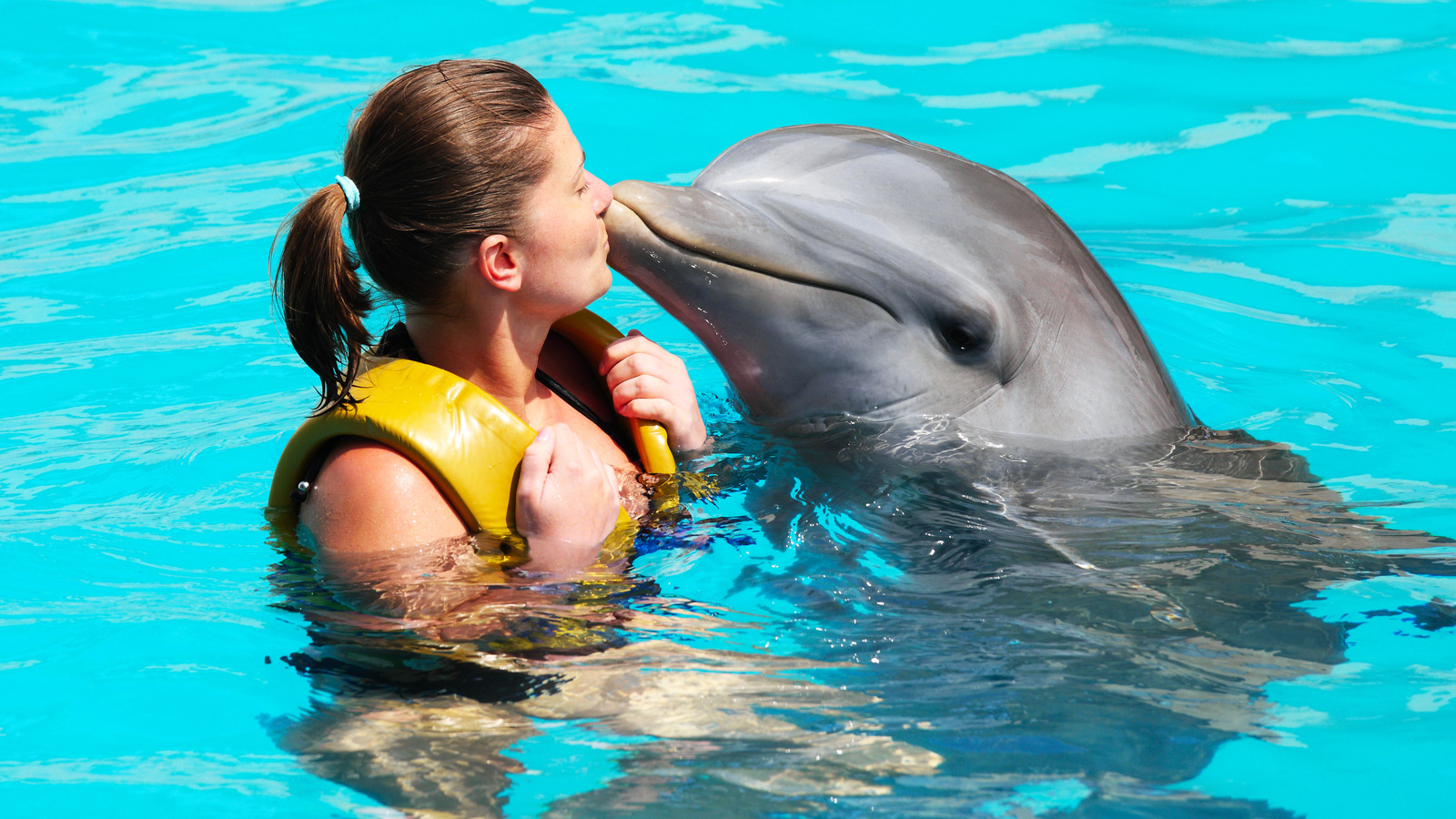 The Best BudgetFriendly US Destination For Swimming With Dolphins