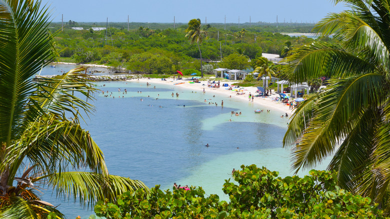 The beach at Bahia Honda State Park