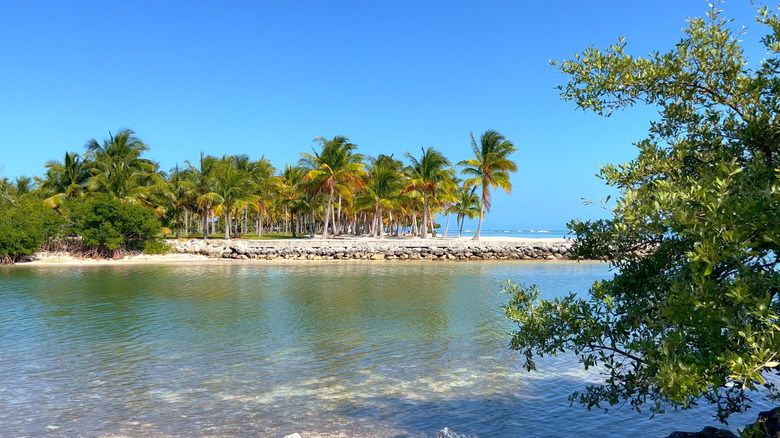 The beach at Curry Hammock State Park