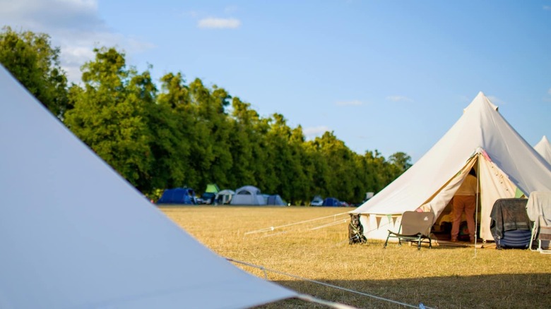 A bell tent in a field in at Harry's Campsite in the New Forest, England