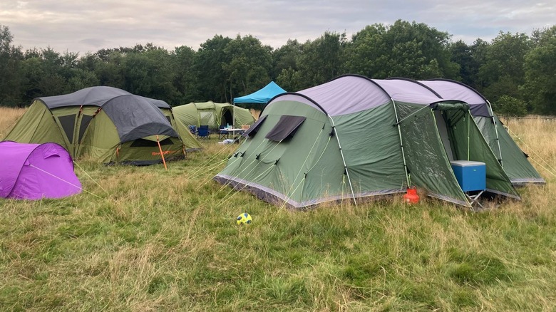 Tents pitched in a field in Wolford Wood, England