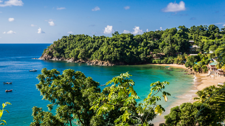 An aerial view of a sandy beach in Trinidad & Tobago.