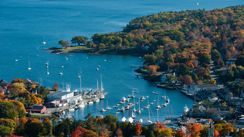 sailboats in an inlet