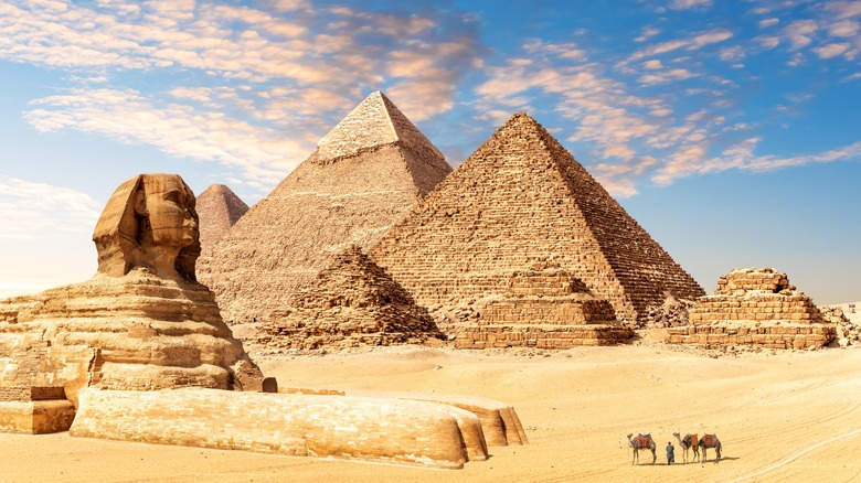 Camels near Giza Pyramids and Sphinx