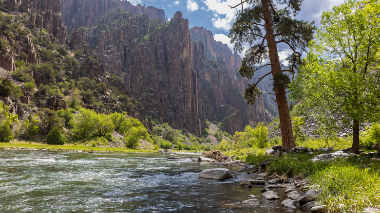 Riverside view at Black Canyon of the Gunnison National Park