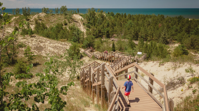 Boy hiking on Dune Succession Trail boardwalk