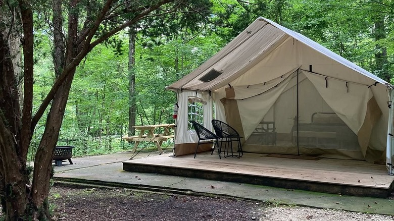 Glamping tent with chairs and bed nestled in woods