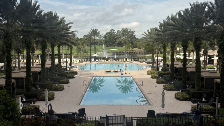 Pool palm trees Waldorf Astoria Orlando