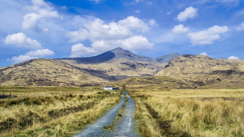 A track leading toward Ben More, Isle of Mull