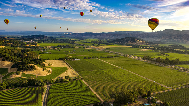 Hot air balloons Napa Valley