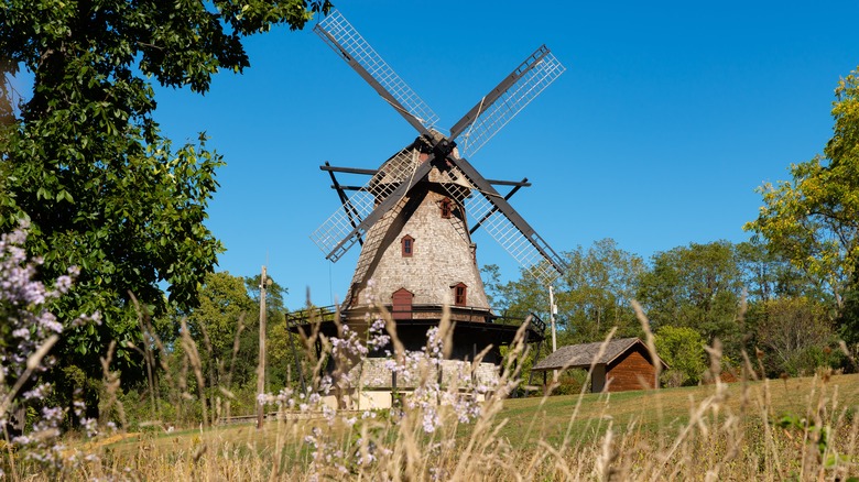  dutch windmill at Fabyan Forest  