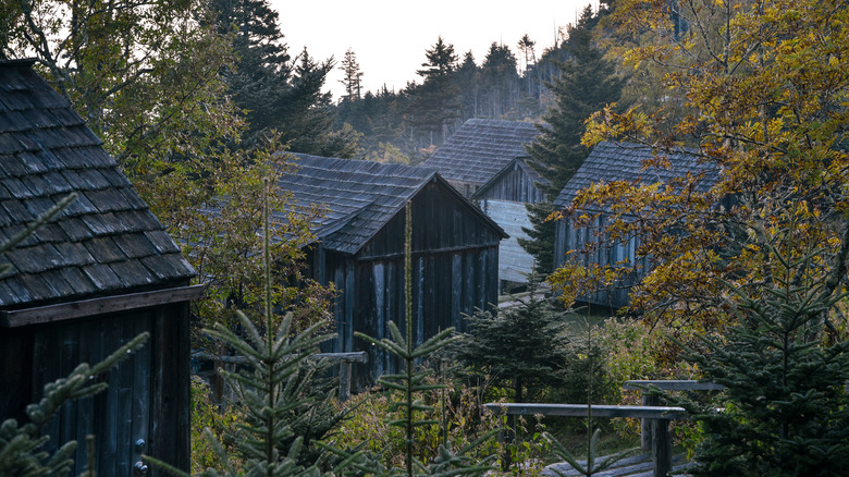The LeConte Lodge in the Grand Smoky Mountains
