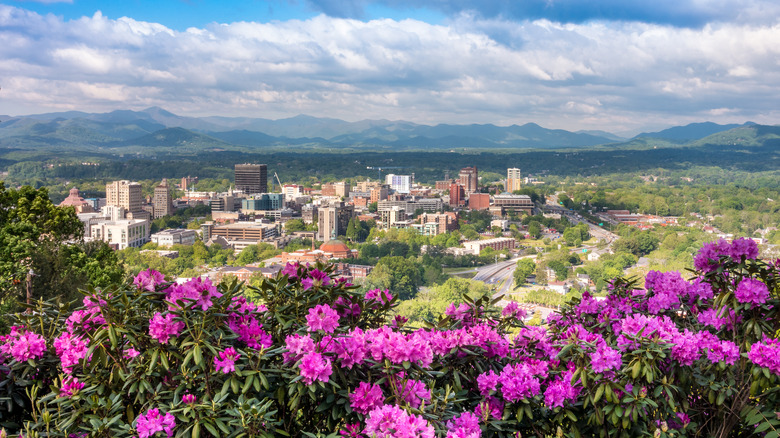 View of downtown Asheville with rhododendrons blooming in foreground