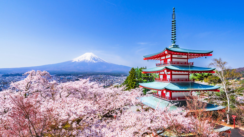 View from Arakurayama Sengen Park