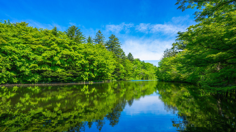 Kumoba Pond in Karuizawa