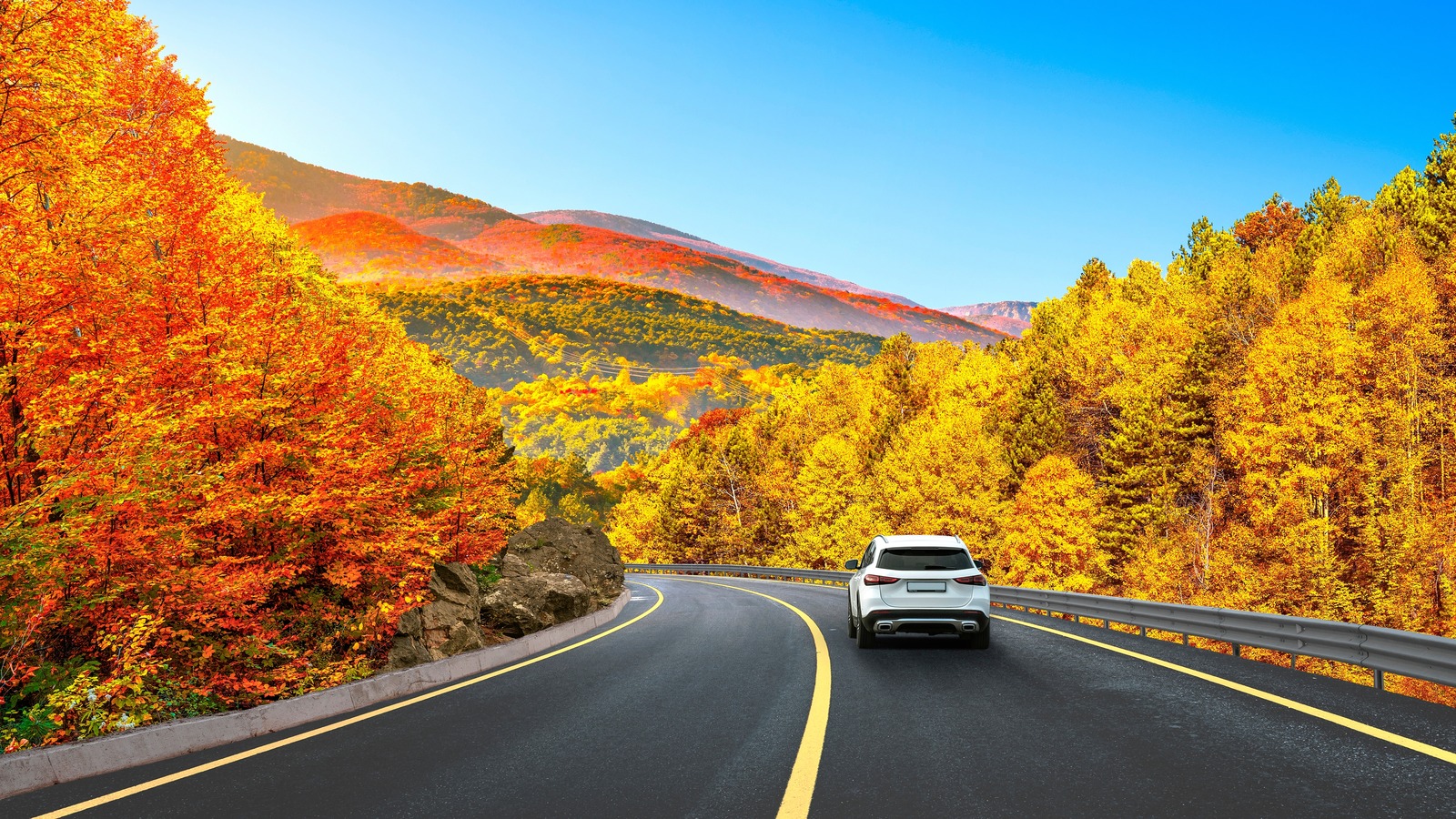 Road Trip Revelations: What You Learn When You Hit the Open Road
