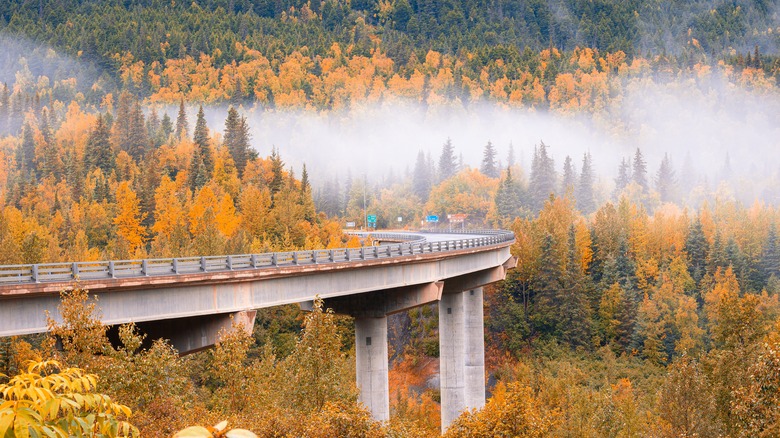 Seward Highway in the fall