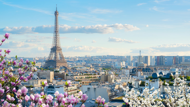 The Eiffel Tower pictured from a distance and surrounded by flowers and buildings
