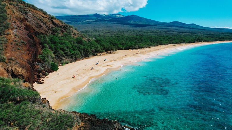 A beach on Maui