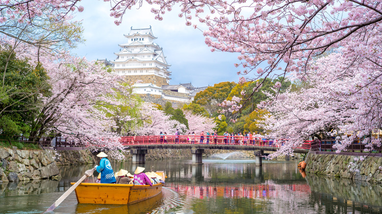 Himeji Castle moat cherry blossoms