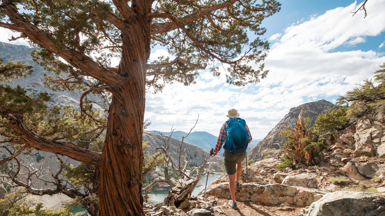 Man with hiking equipment walking in Sierra Nevada mountains, California
