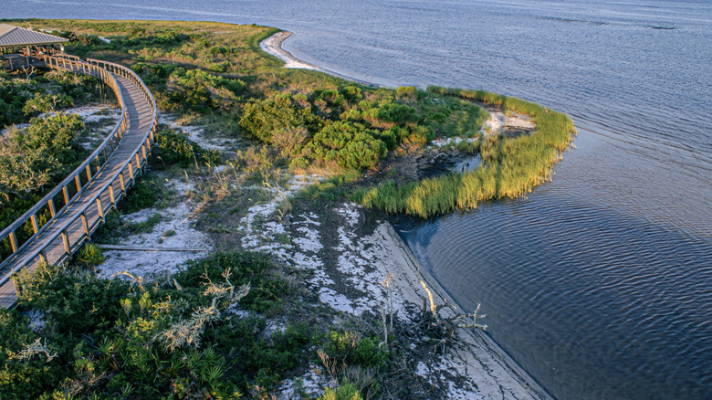 aerial view of the boardwalk trail at Big Lagoon State Park