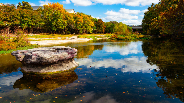 fall foliage over McKinney Falls State Park
