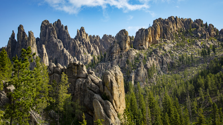 the peaks at Custer State Park in South Dakota
