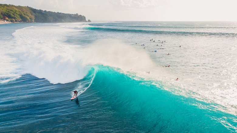 Surfer on a wave in Hawaii