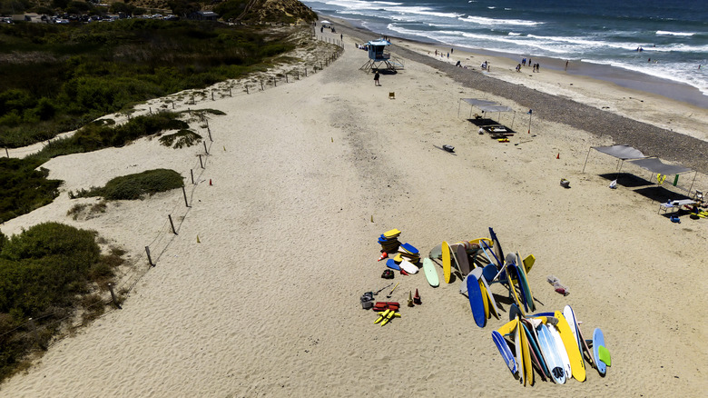 A bunch of boards piled up on the beach