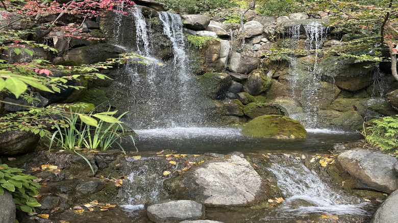 Waterfall at Anderson Japanese Gardens
