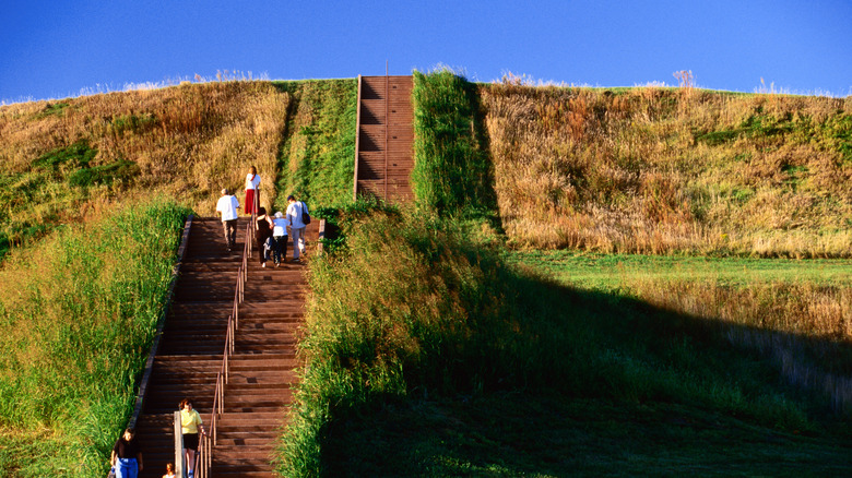 Cahokia Mounds State Historic Site