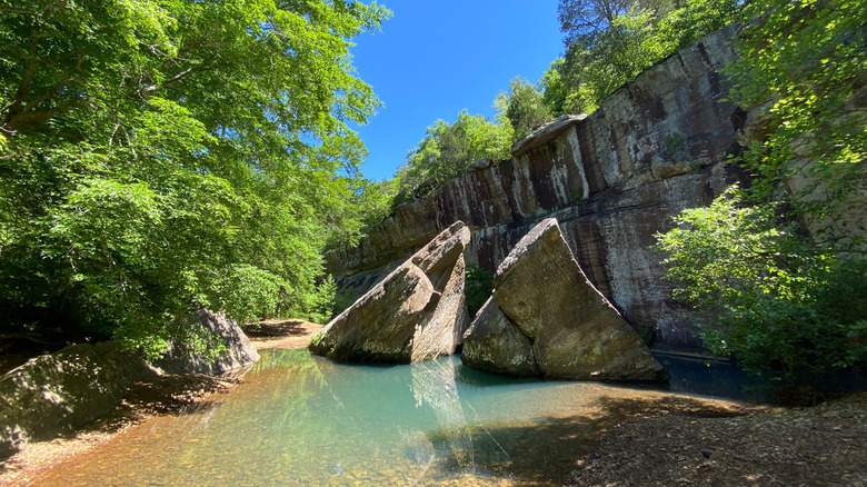 Shawnee National Forest pond