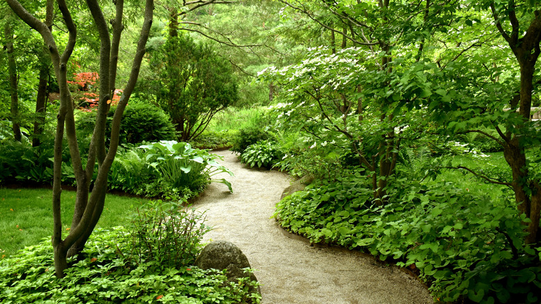 Anderson Japanese Gardens path
