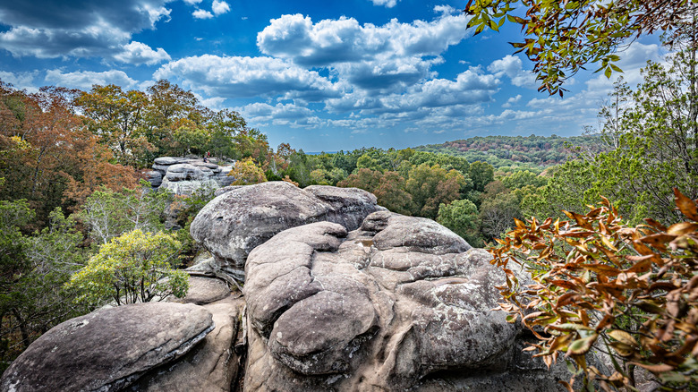 Shawnee National Forest overlook